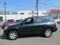  2009 RAV4 4WD Black Forest Pearl