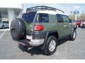 2010 Army Green Toyota FJ Cruiser 4WD  photo #3