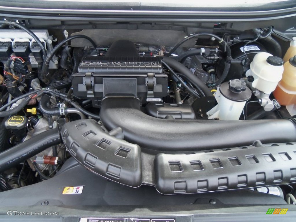 2008 Ford F150 FX4 SuperCrew 4x4 Engine Photos