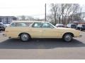 Antique Cream 1978 Ford LTD Wagon Exterior