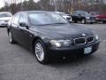 2004 Jet Black BMW 7 Series 745i Sedan  photo #3