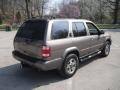 Bronzed Gray Metallic - Pathfinder SE 4x4 Photo No. 6