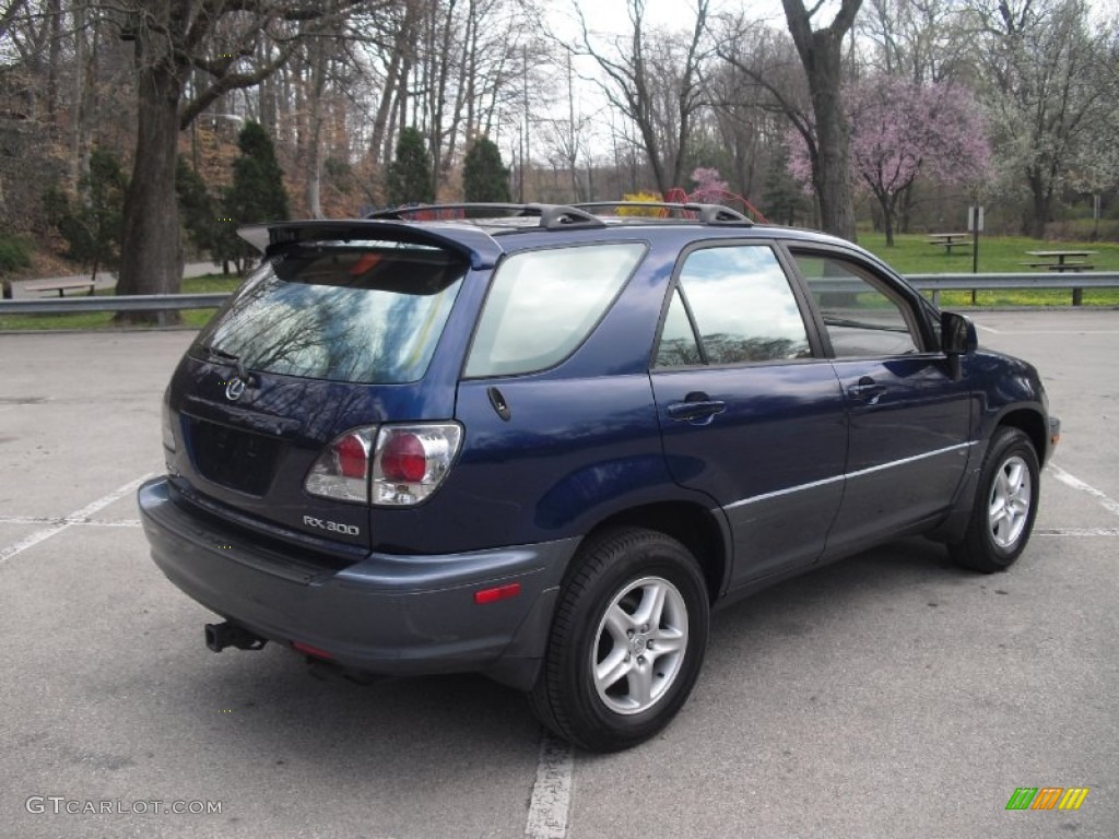 2003 RX 300 AWD - Indigo Ink Pearl / Ivory photo #6