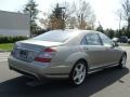 2009 Pewter Metallic Mercedes-Benz S 550 4Matic Sedan  photo #6