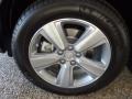 Polished Metal Metallic - MDX SH-AWD Technology Photo No. 10