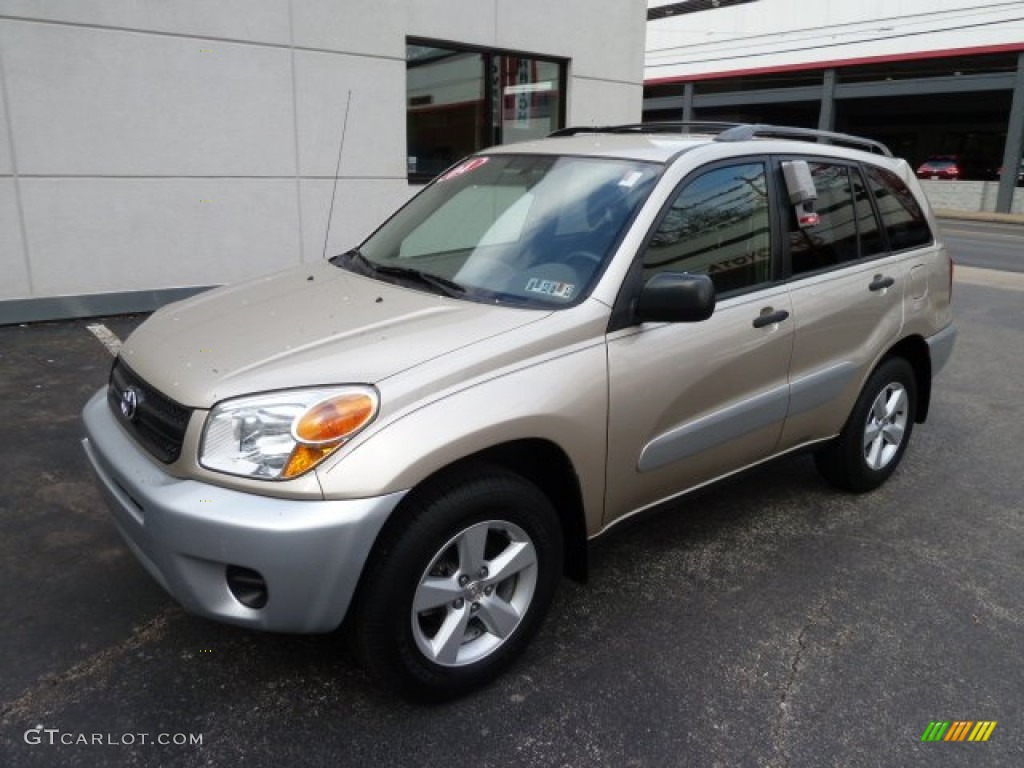 2004 RAV4  - Savannah Beige Metallic / Taupe photo #10