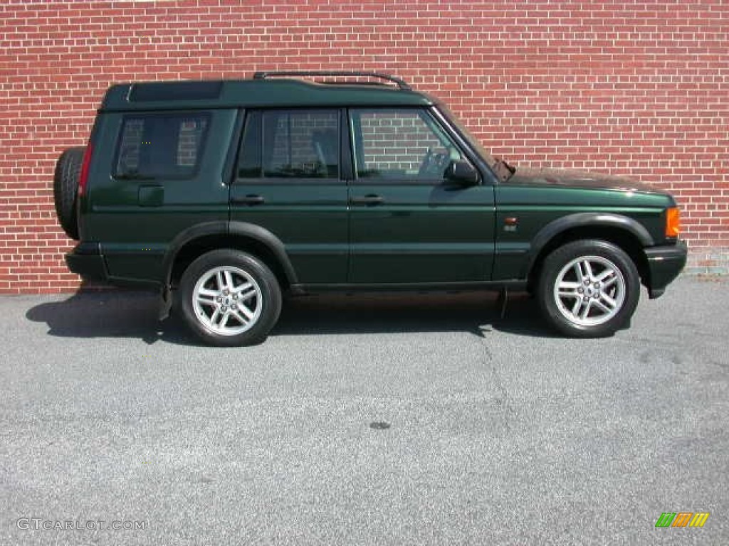 2002 Discovery II SE - Epsom Green Metallic / Bahama Beige photo #10