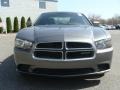 Tungsten Metallic - Charger SE Photo No. 2