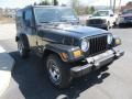 Black Clearcoat - Wrangler X 4x4 Freedom Edition Photo No. 5