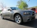 Tungsten Metallic - Charger SE Photo No. 4