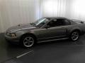2001 Mineral Grey Metallic Ford Mustang GT Coupe  photo #18