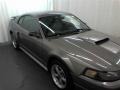2001 Mineral Grey Metallic Ford Mustang GT Coupe  photo #20