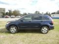 Royal Blue Pearl - CR-V LX Photo No. 3