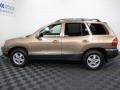 2004 Sandstone Hyundai Santa Fe LX 4WD  photo #6