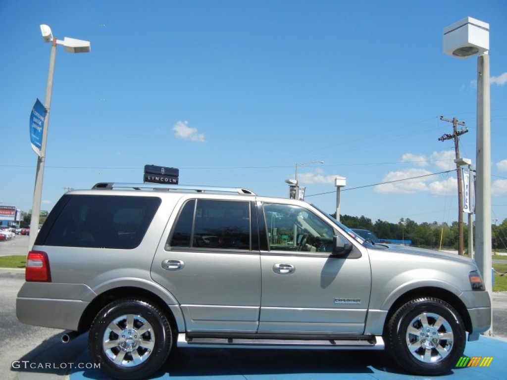 Vapor Silver Metallic 2008 Ford Expedition Limited Exterior Photo #62895000