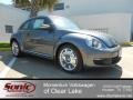 Platinum Gray Metallic - Beetle 2.5L Photo No. 1