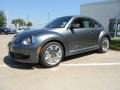 Platinum Gray Metallic - Beetle 2.5L Photo No. 3