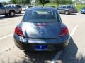 Platinum Gray Metallic - Beetle 2.5L Photo No. 6