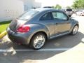 Platinum Gray Metallic - Beetle 2.5L Photo No. 7
