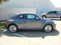 Platinum Gray Metallic - Beetle 2.5L Photo No. 8