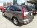 2010 Urban Titanium Metallic Honda CR-V EX-L AWD  photo #3