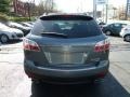 2010 Dolphin Gray Mica Mazda CX-9 Touring AWD  photo #4