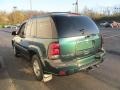 2005 Emerald Jewel Green Metallic Chevrolet TrailBlazer LS 4x4  photo #7