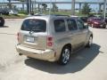 Sandstone Metallic - HHR LT Photo No. 5