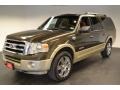 Stone Green Metallic - Expedition EL Eddie Bauer 4x4 Photo No. 1