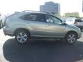 2008 Bamboo Pearl Lexus RX 350  photo #2