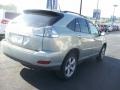 2008 Bamboo Pearl Lexus RX 350  photo #4