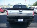 2010 Tuxedo Black Ford F150 Platinum SuperCrew 4x4  photo #3