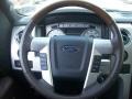 2010 Tuxedo Black Ford F150 Platinum SuperCrew 4x4  photo #12