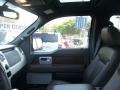 2010 Tuxedo Black Ford F150 Platinum SuperCrew 4x4  photo #15