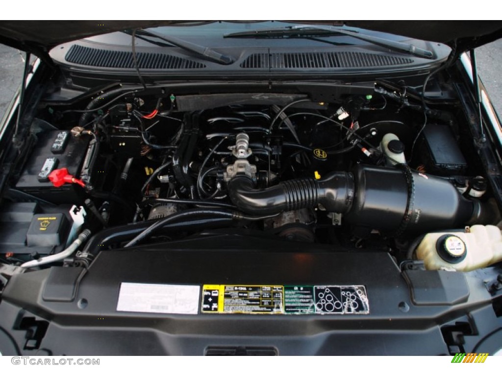 2003 Ford F150 Heritage Edition Supercab 4.2 Liter OHV 12V Essex V6 Engine Photo #62919866