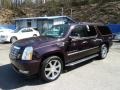 Black Cherry 2009 Cadillac Escalade ESV AWD Exterior