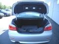 2009 Titanium Silver Metallic BMW 5 Series 528i Sedan  photo #10