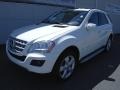 2010 Arctic White Mercedes-Benz ML 350  photo #2