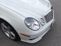 2009 Arctic White Mercedes-Benz E 350 Sedan  photo #9