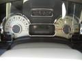 Camel Gauges Photo for 2011 Ford Expedition #62937705