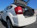 Stone White - Caliber SXT Photo No. 13