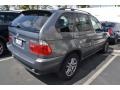 Sterling Grey Metallic - X5 3.0i Photo No. 3