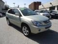 2008 Bamboo Pearl Lexus RX 400h AWD Hybrid  photo #4