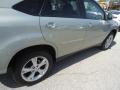 2008 Bamboo Pearl Lexus RX 400h AWD Hybrid  photo #41