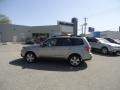 2009 Spark Silver Metallic Subaru Forester 2.5 X Limited  photo #48