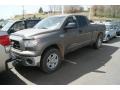 2008 Pyrite Mica Toyota Tundra SR5 Double Cab 4x4  photo #4