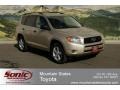 2007 Savannah Metallic Toyota RAV4 V6 4WD  photo #1