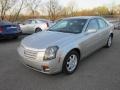 Light Platinum - CTS Sport Sedan Photo No. 3