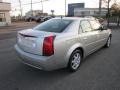 Light Platinum - CTS Sport Sedan Photo No. 7