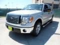 2012 Ingot Silver Metallic Ford F150 XLT SuperCrew  photo #7